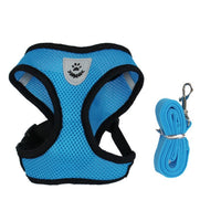 Adjustable Harness Vest